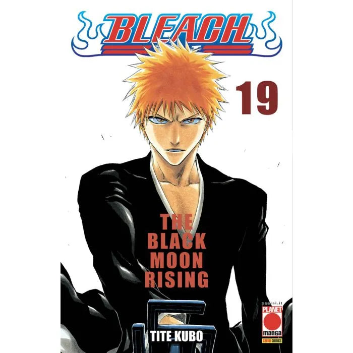 BLEACH 19