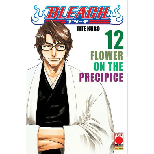 BLEACH 12